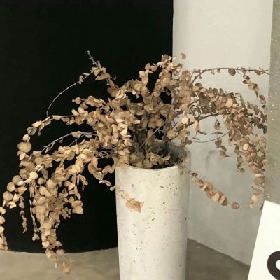 Furry数位绘画技巧福瑞交流群